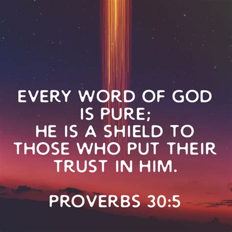 Proverbs 30 5 Every Word Of God Is Pure He Is A Shield To Those Who Put