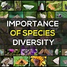 Species Diversity - Definition, Importance and Example