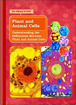What makes animal cells and plant cells different. Plant and Animal Cells: Understanding the Differences ...