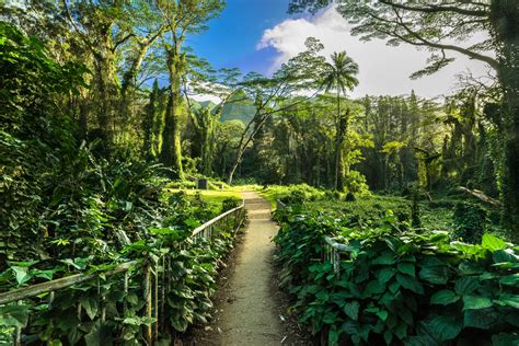 11 Amazing Waterfalls On Oahu Hawaii