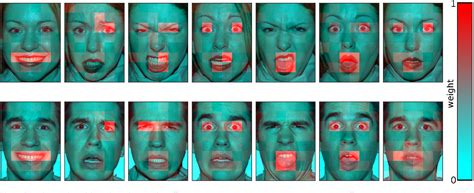 Figure 4 From Mapping The Emotional Face How Individual Face Parts
