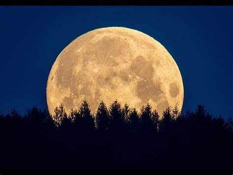 Supermoon 2020 Photos These Breathtaking Clicks From All Over The