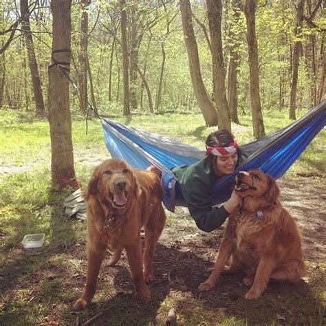 Relaxing and very fun lawson hammock, title: 19 Hammock Instagrams You Should Be Following | Dog travel, Hammock, Canine companions