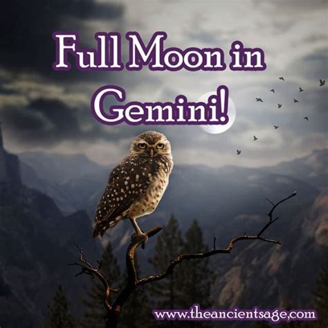 Full Moon In Gemini The Full Moon In Gemini Shines Down A Little