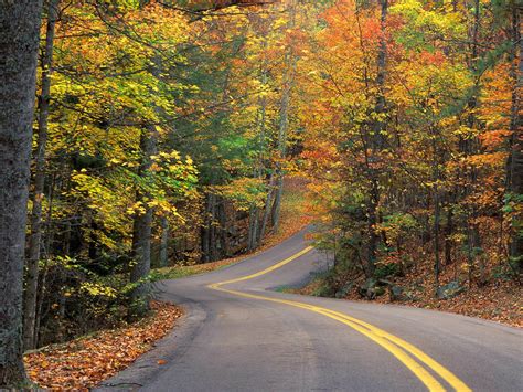 Autumn Road Nature Wallpapers Wallpapers High