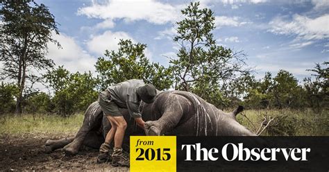 Africa Is Centre Of A ‘wildlife War That The World Is Losing Illegal