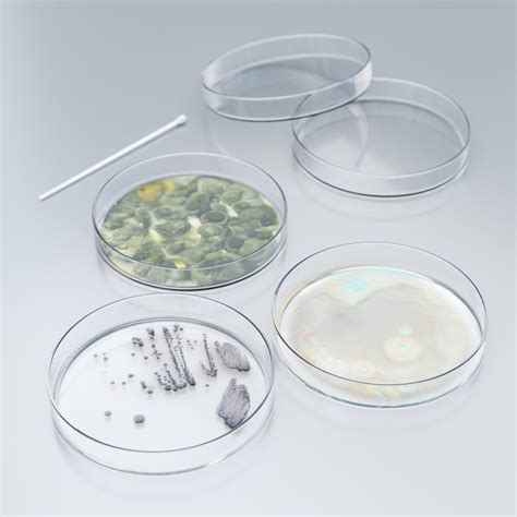 Petri Dishes With Bacteria Mold Lab Equipment Models Blenderkit