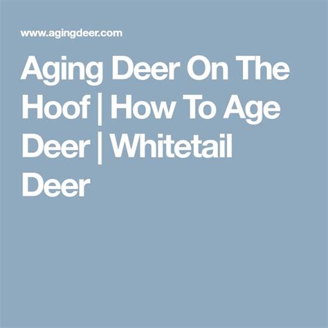 Aging Deer On The Hoof How To Age Deer Whitetail Deer Whitetail