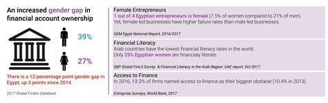 Fintech For Women Scaling The Financial Inclusion Pyramid In Egypt
