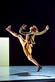 Sylvie Guillem Prepares to End Her Ballet Career - The New York Times