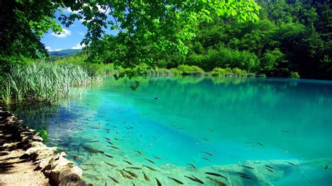 Plitvice Lakes National Park Croatia 75903