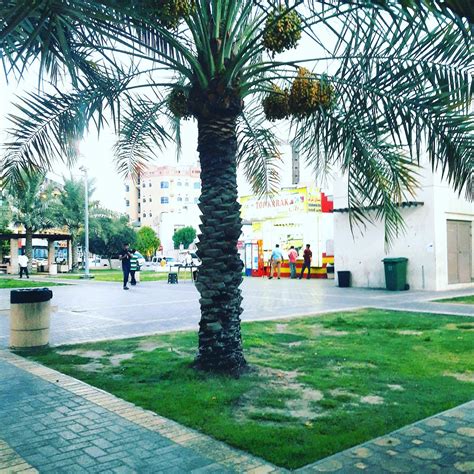 Marina Garden Park Bahrain All You Need To Know Before You Go
