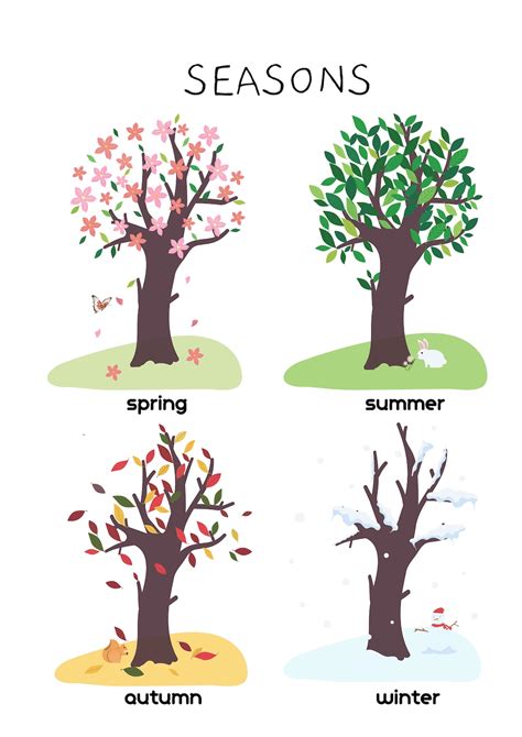 Four Seasons Educational Poster Seasons Printable Four Etsy
