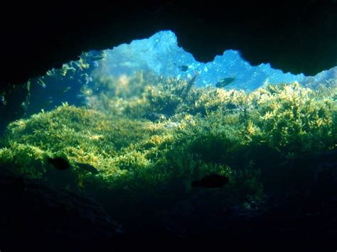 Underwater Caves Archontiko Underwater Cave Inside This Underwater