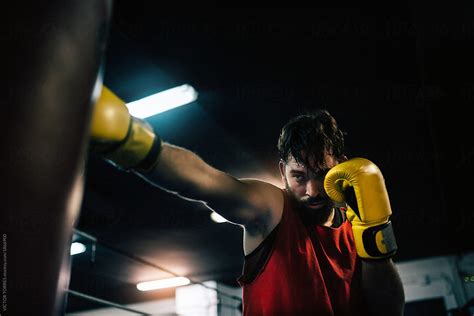 Bearded Man Boxing Workout By Stocksy Contributor Victor Torres