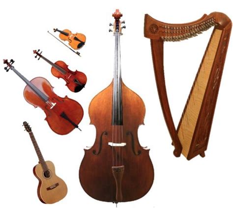 List 90 Pictures Pictures Of String Instruments Completed