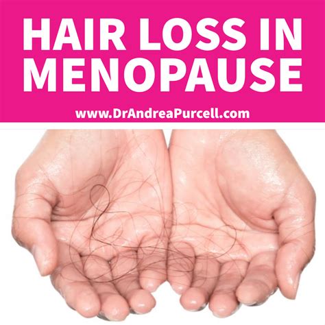Hairloss In Menopause Dr Andrea Purcell