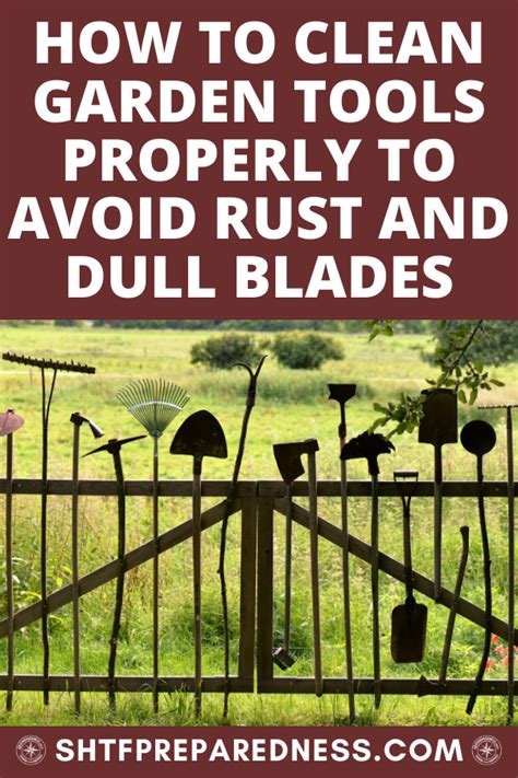 How To Clean Garden Tools Properly To Avoid Rust And Dull Blades In