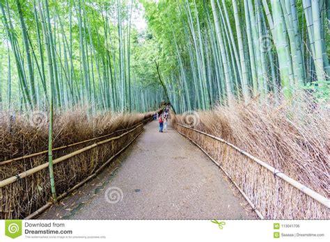 The Arashiyama Bamboo Grove Of Kyoto In Japan Stock Photo Image Of