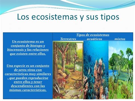 Tema 4 Los Ecosistemas