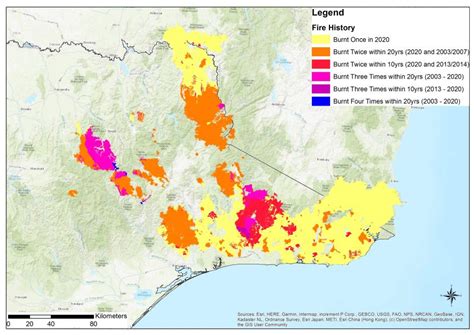why australia s severe bushfires may be bad news for tree regeneration pursuit by the