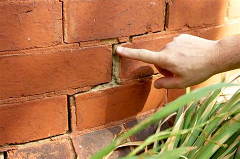 Maybe you would like to learn more about one of these? Know The Signs Of Termite Damage In Your Home | My Decorative