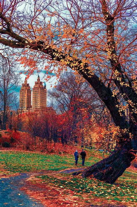 🇺🇸 December In Central Park By Robert Linnaeus 🍂🏙 Aloita Resort Places