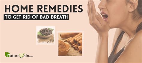 10 Best Home Remedies To Get Rid Of Bad Breath Naturally