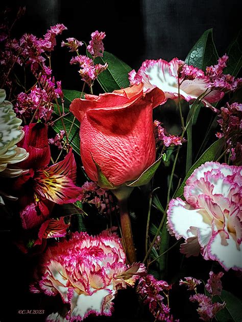 Floral Embrace Photograph By Catherine Melvin Fine Art America