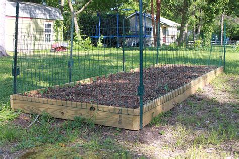 Building A Vegetable Garden Fence Hawk Haven