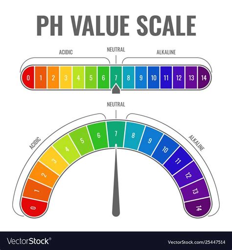 Ph Alkaline Acidic Scale Indicator Water Balance Vector Image