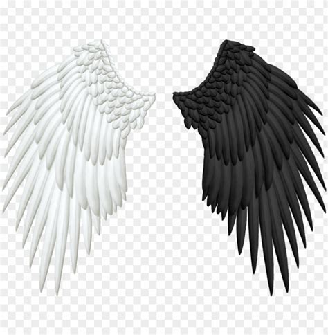 Half Wings Png Transparent Angel And Demon Wings Png Image With