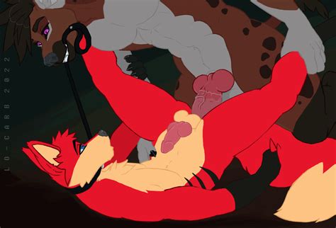 Rule 34 Anal Animated Anthro Balls Caelum Canid Canine Collar Duo Fox Genitals Hyaenid Knot