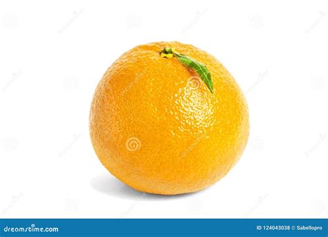 Mandarin Tangerine Citrus Fruit Isolated Stock Photo Image Of Rich