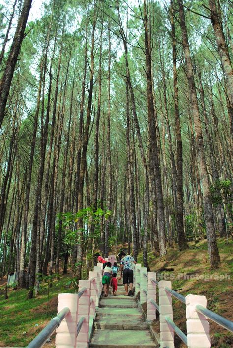 Ia mempunyai komitmen pribadi kepada. Bukit Siatas Barita (Salib Kasih) Tarutung