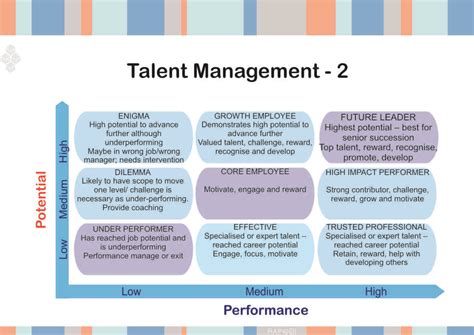 9 Box Talent Grid Template Hr Talent Management Performance And