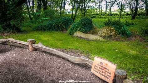 Explore The Lost Garden Of Heligan In Cornwall England