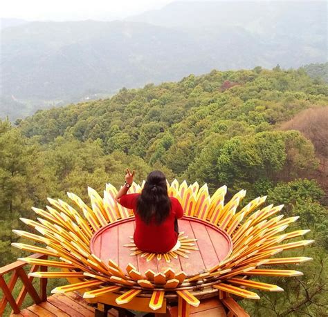 Ada satu tips saat menanam. 10 Spot Foto Bentuk Bunga Matahari yang Instagramable di Indonesia