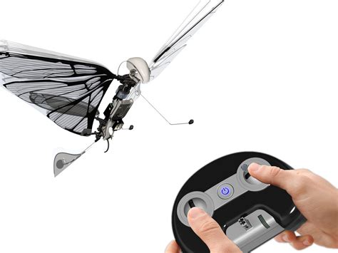 Metafly By Bionic Bird The First Insect Drone Able To Fly