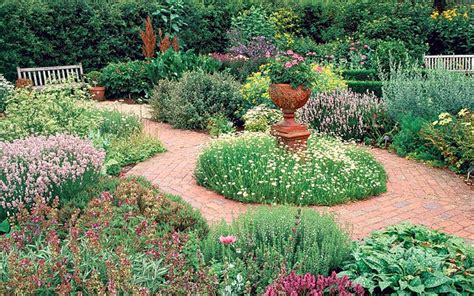 Herb Gardening Tips For Beginners Uk Living Blog