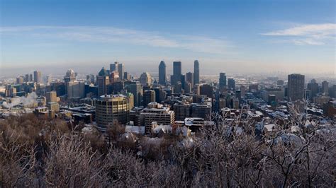 Download Wallpaper 1920x1080 Winter Montreal Canada Snow Trees Hd