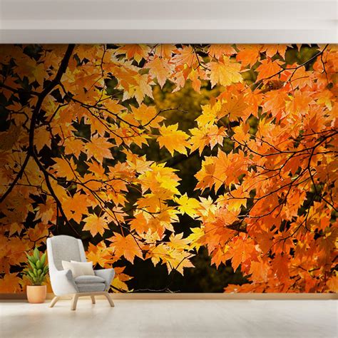 Yellow Plane Tree Leaves At Autumn Season Nature Wall Mural