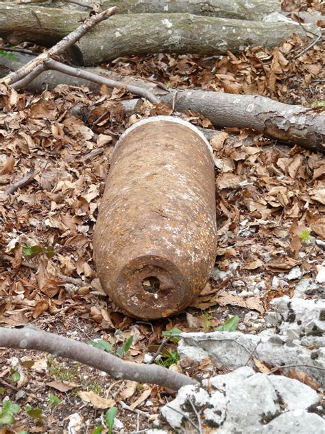 Free Images Tree Rock Wood Trunk Old Wildlife Metal Powder