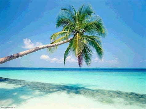 Industrial estate ( office park) and trading estate; Previsioni del tempo: la lunga estate calda | nextQuotidiano