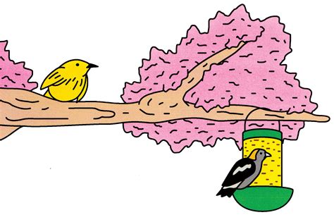 Why birds and their songs are good for our mental health - Washington Post