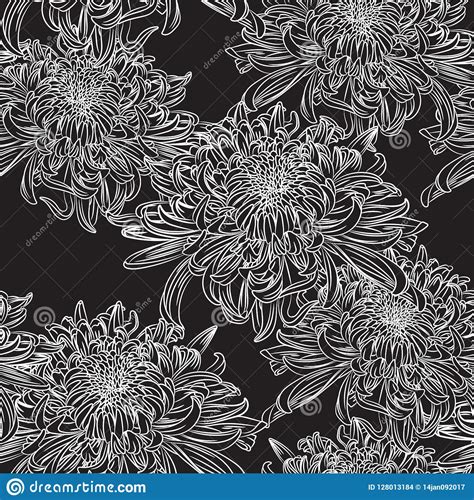 Seamless Floral Pattern With Black White Chrysanthemums Flowers Vector