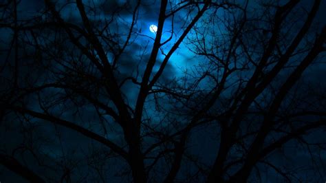 Dark Desktop Backgrounds - Wallpaper Cave