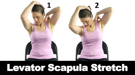 Levator Scapula Stretch Ask Doctor Jo Youtube