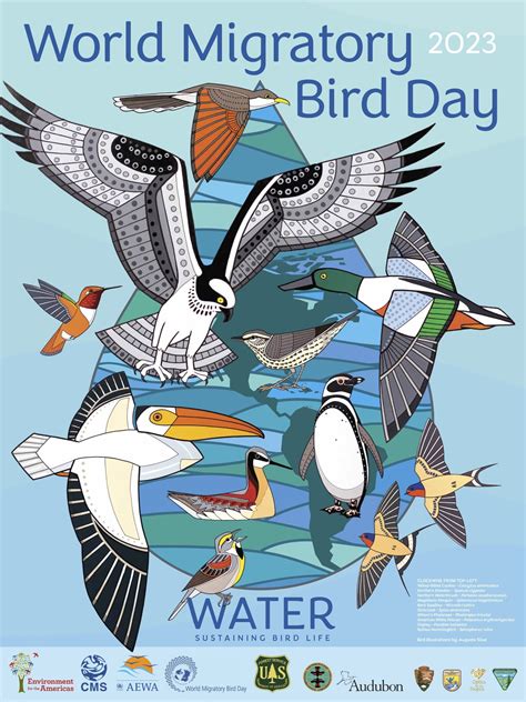 World Migratory Bird Day — Lake Helena Watershed Group