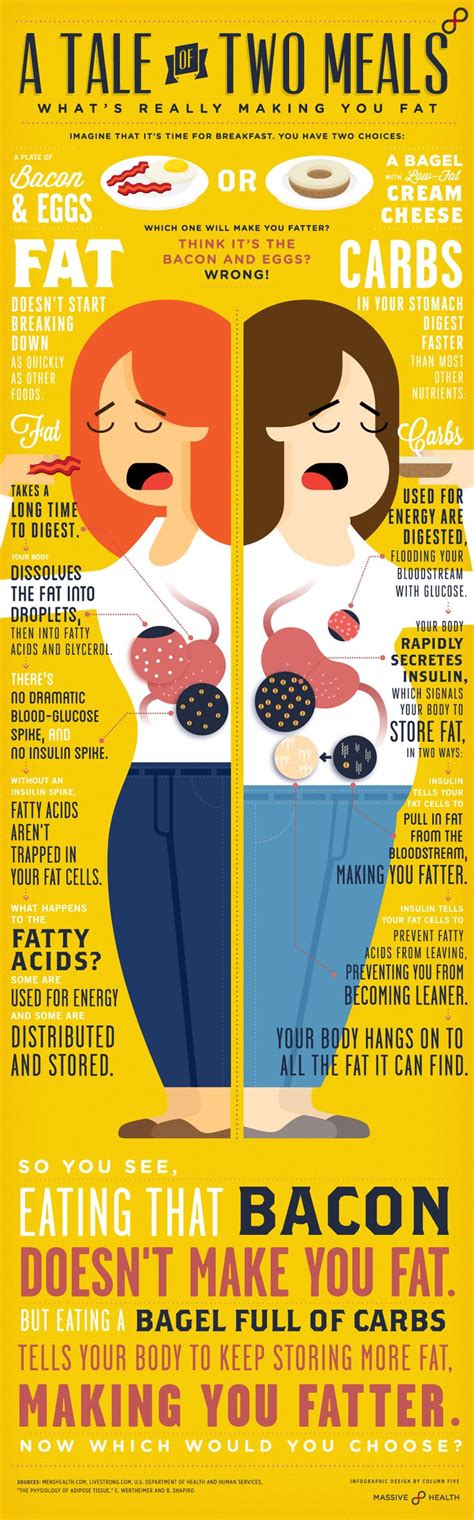 Created an online carbohydrate calculator for wet and dry pet… this page is a companion to our articles on homemade low carb diets for cats and the problems with commercial cat foods. 82 best Infographics - Low Carb, LCHF, Keto, Paleo images ...